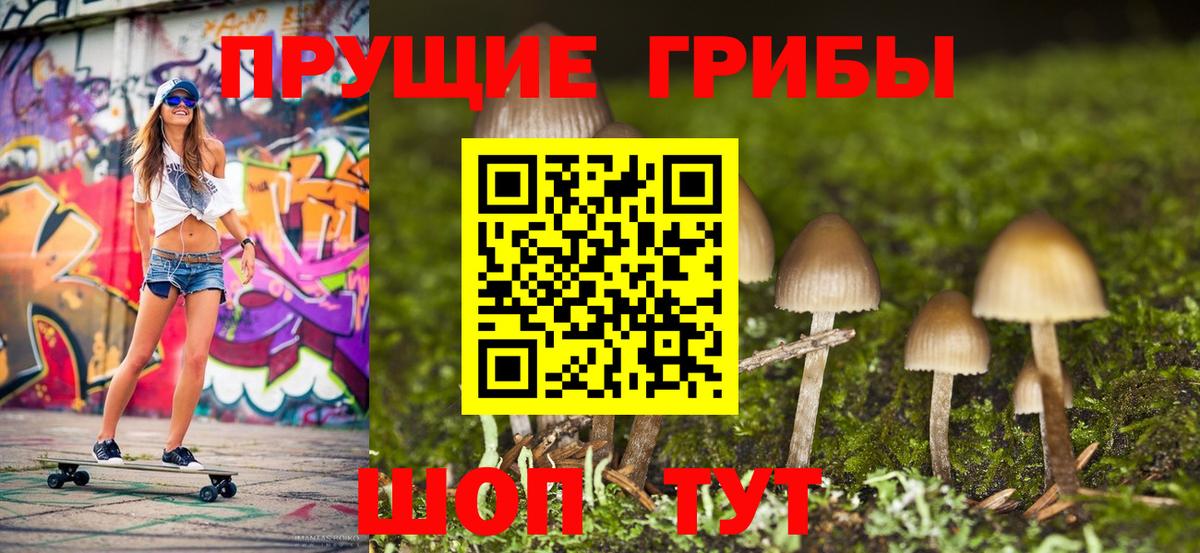 Бузулук  магазин    Вход с VPN  Псилоцибиновые грибы прущие грибы 