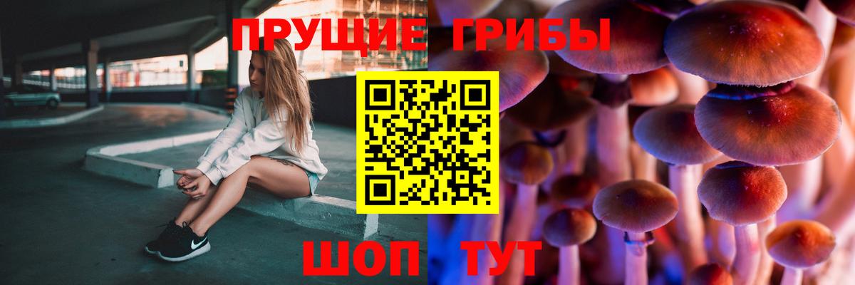 Галлюциногенные грибы Бузулук